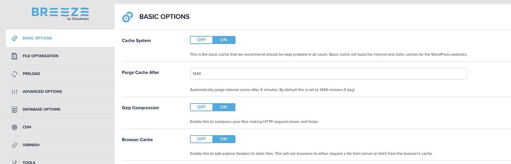Speed Up Your WordPress Website With Cache