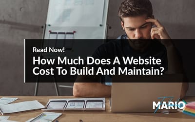 How Much Does A Website Cost To Build And Maintain?